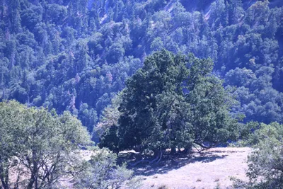 DSC_2257 (Large).JPG